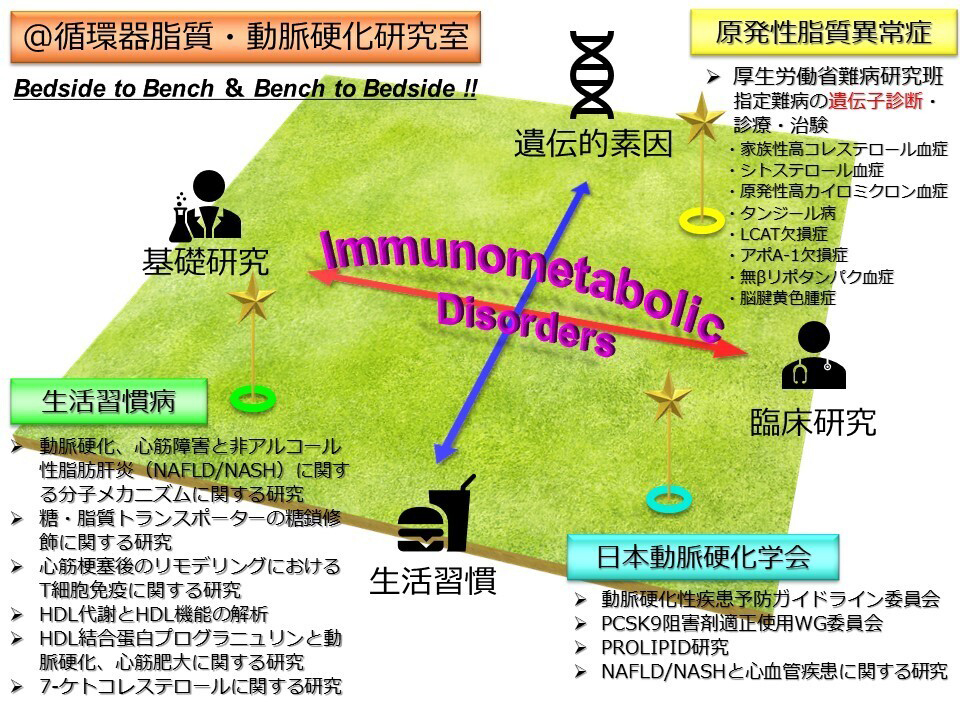 循環器脂質・動脈硬化グループ | 大阪大学 大学院医学系研究科 循環器